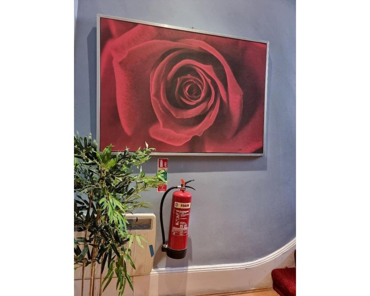 F302-3rd Floor For 2 Near Hyde Park *